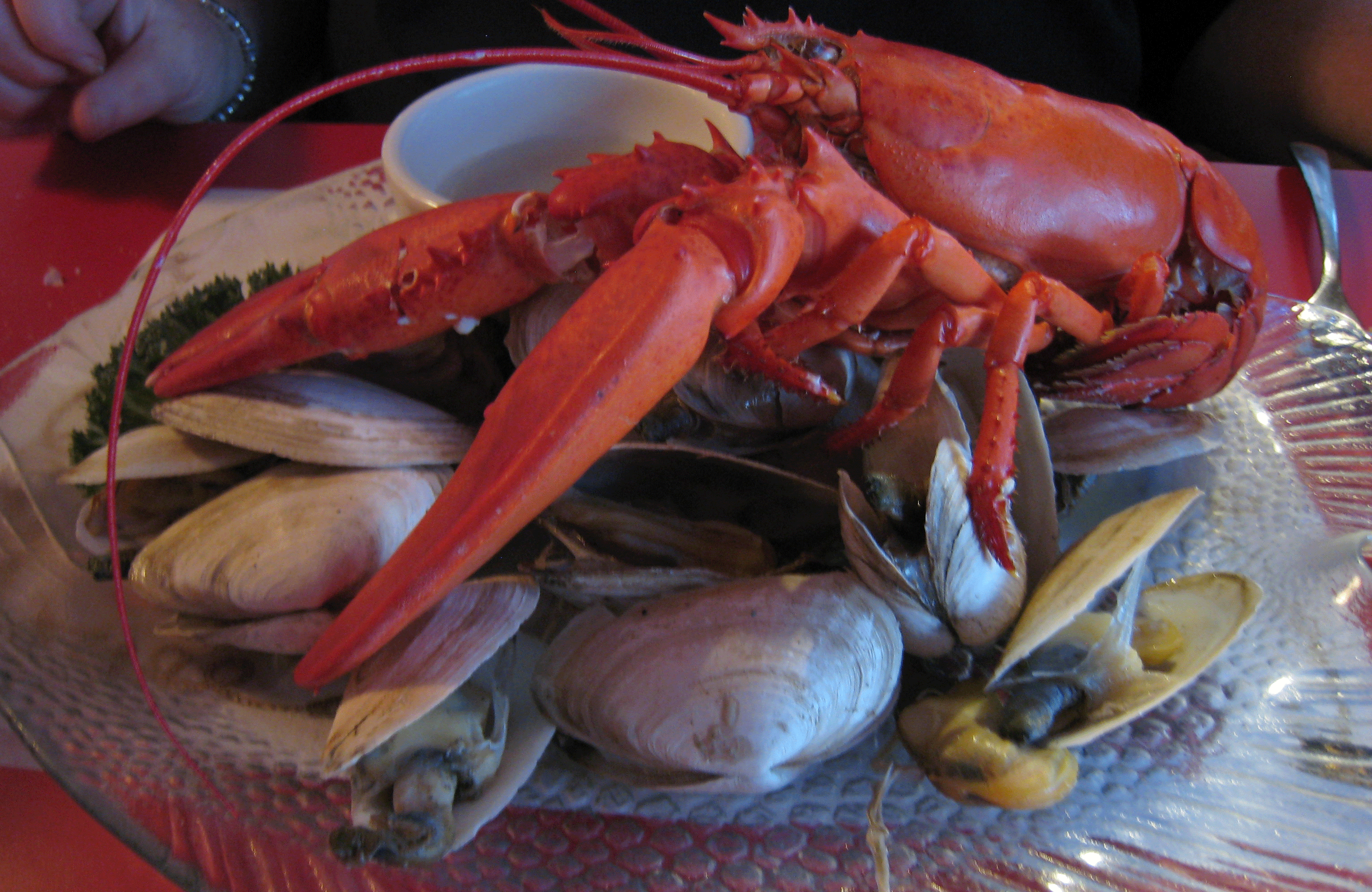 Mabel’s Lobster Claw Restaurant – Kennebunkport, Maine